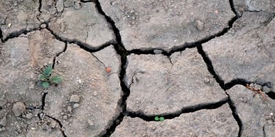 Antarctica's Vegetation Growing Rapidly Due to Warming