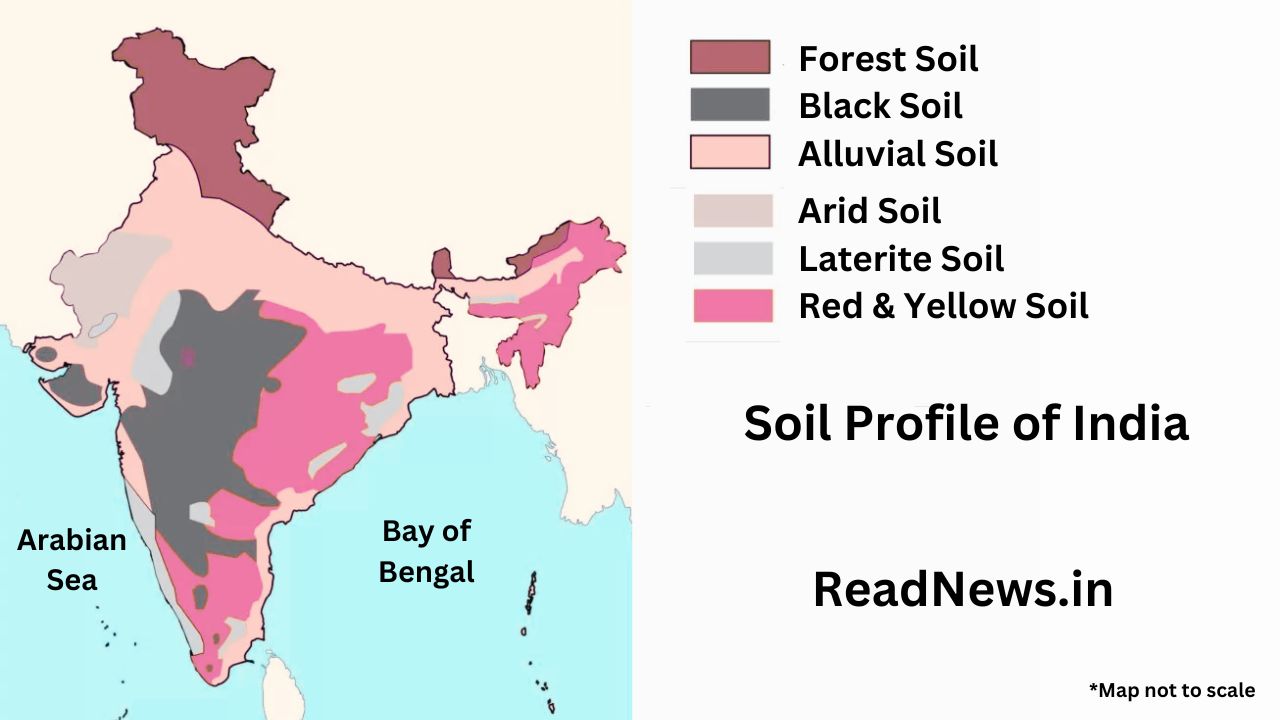 The soil profile of India