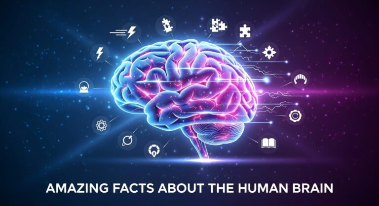 Facts About The Human Brain