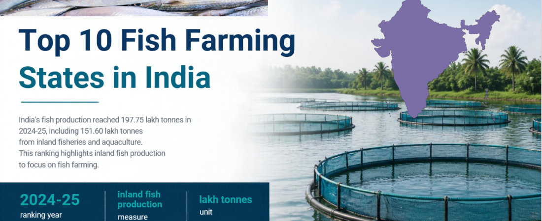 Top 10 Fish Farming States in India: Andhra Pradesh Leads with 48.88 Lakh Tonnes
